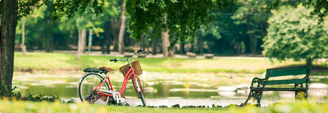 Welcome to the Urban Nature Assessment Tool